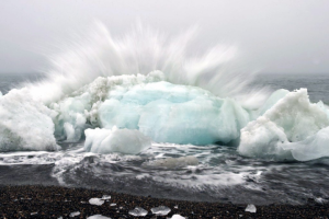 Остров Врангеля – последнее убежище мамонтов