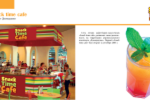 презентация BS group 11