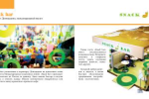 презентация BS group 13