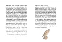 img1186518.png