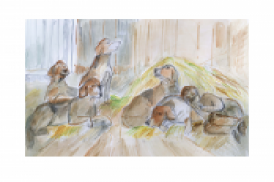 Меч в камне 16