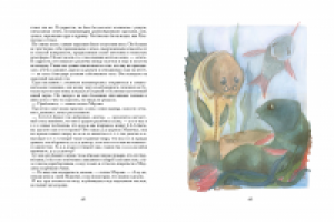 Меч в камне 17