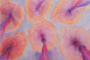 Сказка про море вариант 2  форзац 05