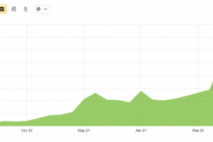 Продвижение интернет-магазина papa-gotovit.ru