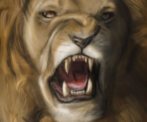 img4063322.png