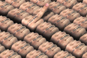 Концепт Арт для Бренда "FLASENTY"