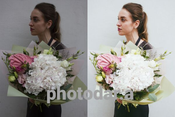 img4022649.png