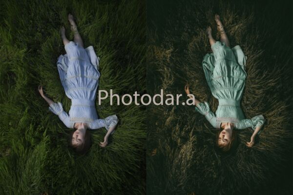 img3991350.png