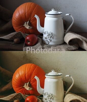 img3990971.png
