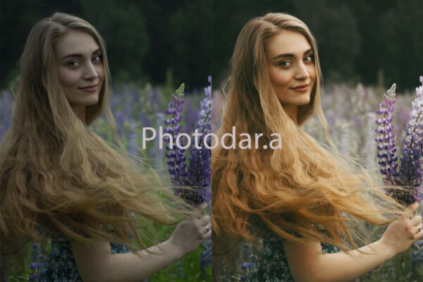 img3988824.png