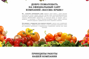Дизайн сайта для компании "ВассмаКрым". Страница "О НАС"