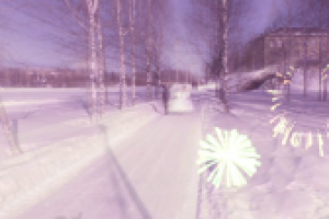 Свадьба Александра и Анюты