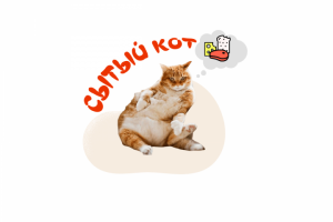 Сытый кот