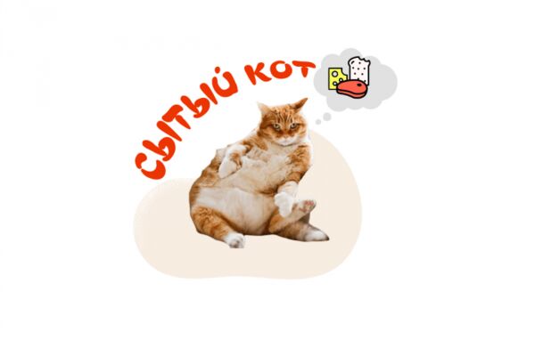img3883556.png