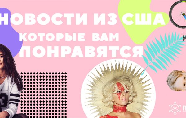 img3517943.png