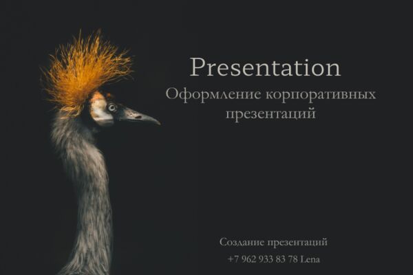 img4305183.png