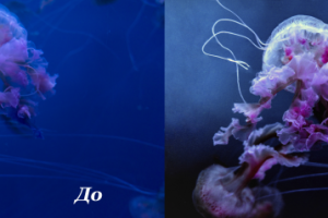 Работа 3826162