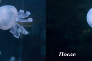 Работа 3826157