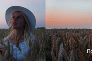 Работа 3826148