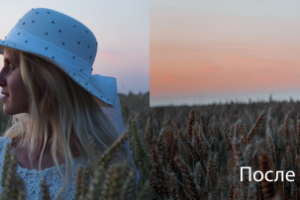 Работа 3826147