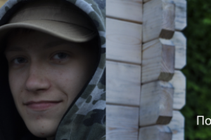 Работа 3826145