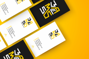 zms logo визитка