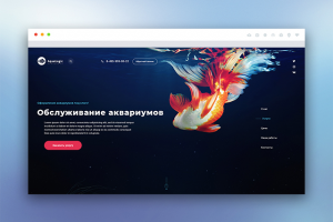 AquaLogic Обслуживание аквариумов