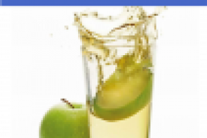 Маркетинговое исследование рынка Яблочного концентрата в России