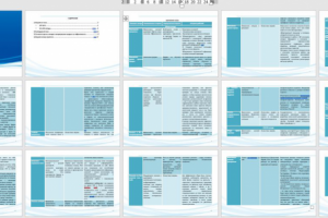 Маркетинговая стратегия и маркетинговый план