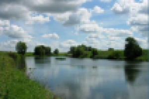 Маркетинговое исследование Земельный участок с прудами