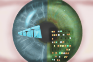 Свобода и дом