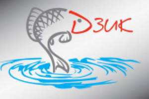 Лого "Дзик"
