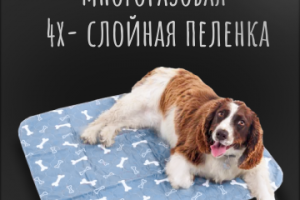 Дизайн карточек товара