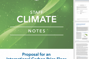 Климат.  Установка квот на выбросы углерода.