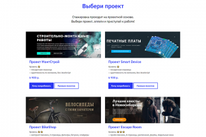 Лэндинг Акселератор