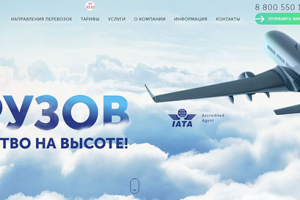 Максима Авиаперевозки грузов