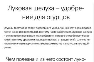img4312831.png