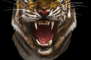 Работа 4095251