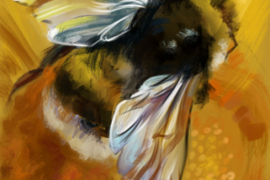 Работа 4095233