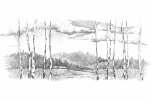 Работа 4054422