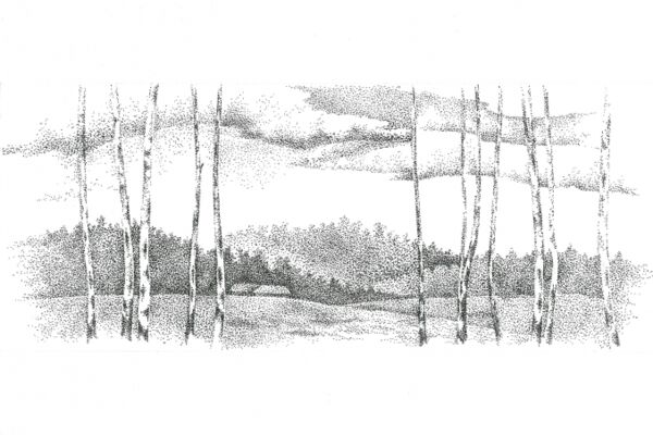 img4054422.png