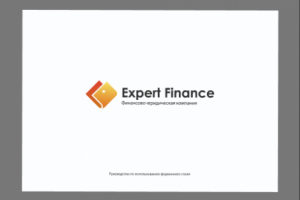 Разработка логотипа и фирменного стиля для компании, занимающейс