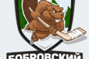 Логотип для хоккейной команды