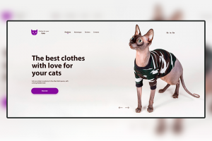 Clothes for cat