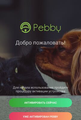 img3218738.png