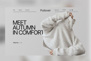 Магазин одежды "Pollover"