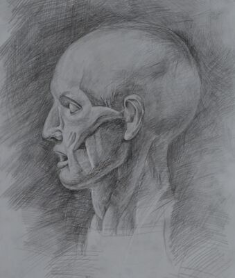 img4059917.png