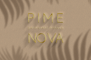 Логотип для мастера ПМ