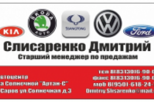 Визитка Слесаренко Дмитрий