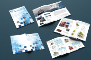 Каталог Северной мили